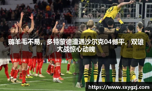 薅羊毛不易，多特蒙德遭遇沙尔克04憾平，双雄大战惊心动魄