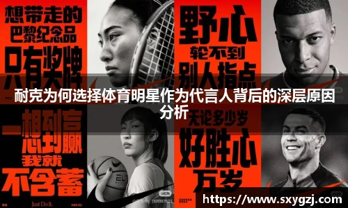 完美体育在线入口官网