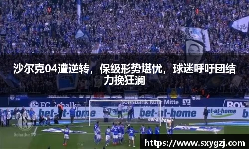 沙尔克04遭逆转，保级形势堪忧，球迷呼吁团结力挽狂澜