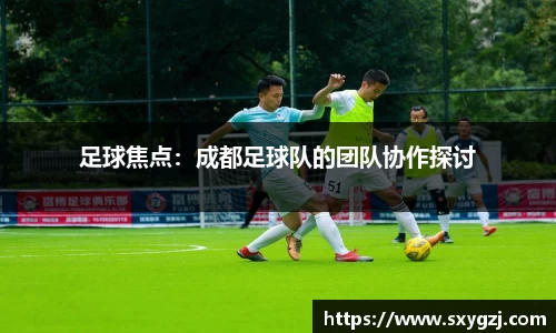 足球焦点：成都足球队的团队协作探讨