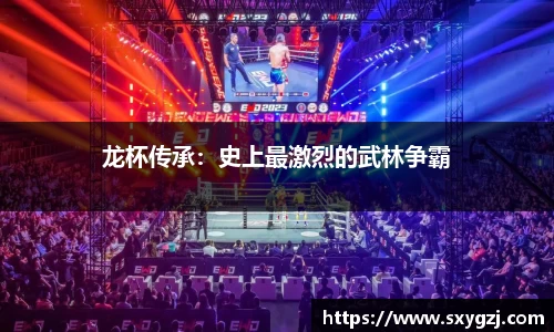 龙杯传承：史上最激烈的武林争霸