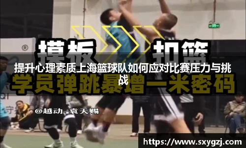 完美体育在线入口官网