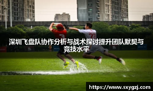 深圳飞盘队协作分析与战术探讨提升团队默契与竞技水平