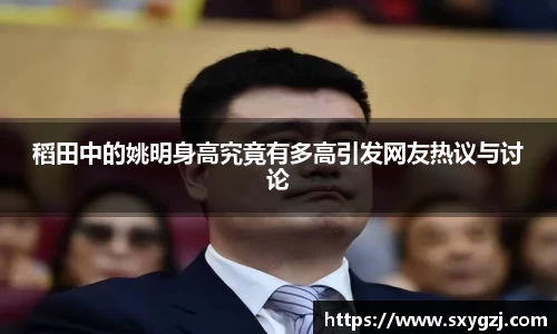 完美体育在线入口官网