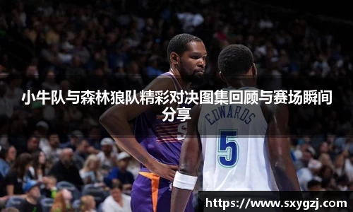 小牛队与森林狼队精彩对决图集回顾与赛场瞬间分享