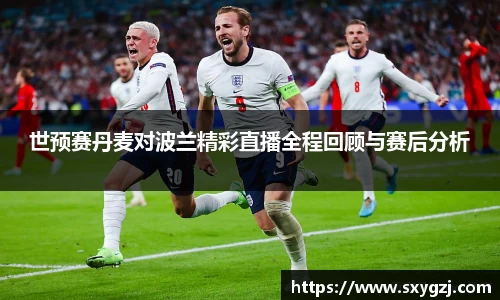 世预赛丹麦对波兰精彩直播全程回顾与赛后分析