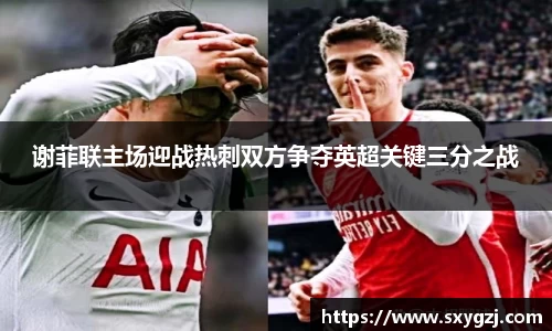 谢菲联主场迎战热刺双方争夺英超关键三分之战