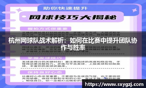 完美体育在线入口官网